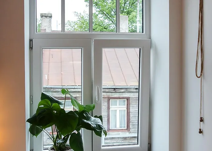 Apartment Pretty Little - Cozy In