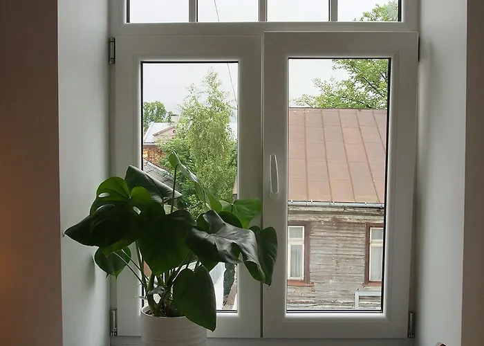 Apartment Pretty Little - Cozy In *